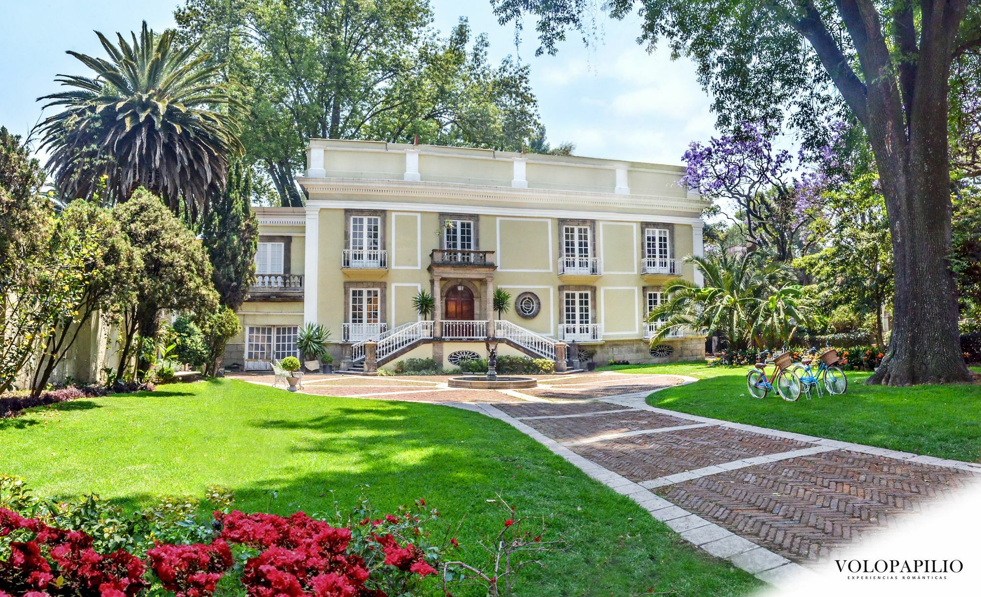 לינה וארוחת בוקר מקסיקו סיטי Mansion Papilio מראה חיצוני תמונה